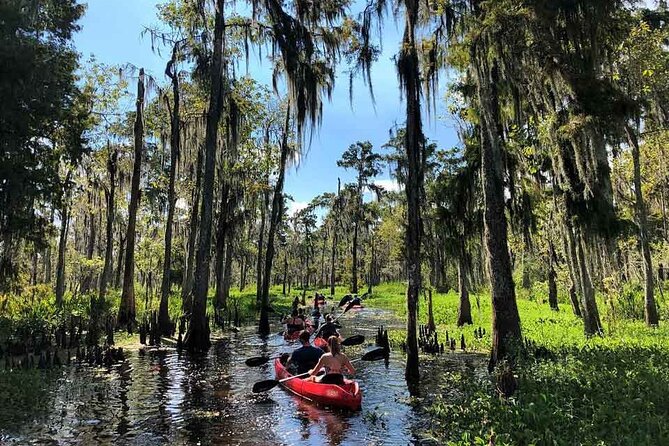 Manchac Swamp Extended 4-Hour Kayak Tour with Pickup - Maurepas swamp paddle: what you’ll do during the main 4 hours