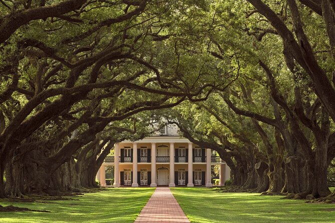 N’awlins Luxury: Laura, Oak Alley or Whitney Plantation Tour w/Transportation - What the Half-Day Schedule Feels Like (Pickup, Walking, and On-Site Pace)