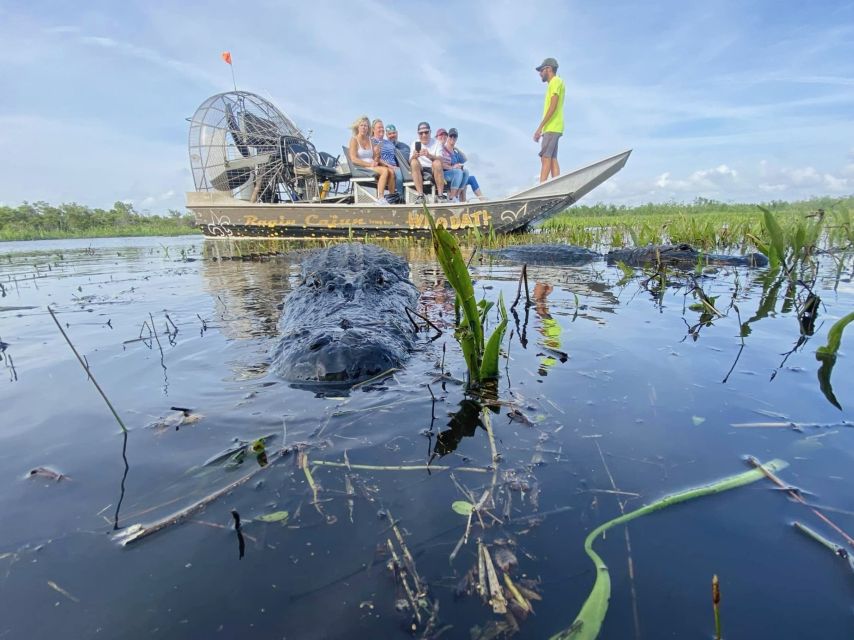 New Orleans: 10 Passenger Airboat Swamp Tour - The guide experience: learn the bayou from Captain Mike