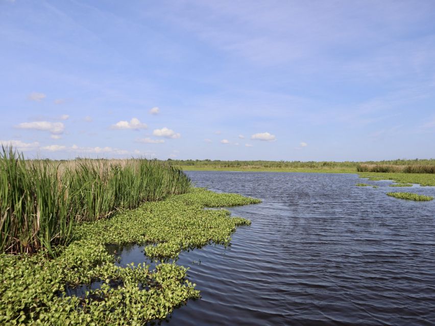 New Orleans: 10 Passenger Airboat Swamp Tour - What the 90–150 minutes feels like on board