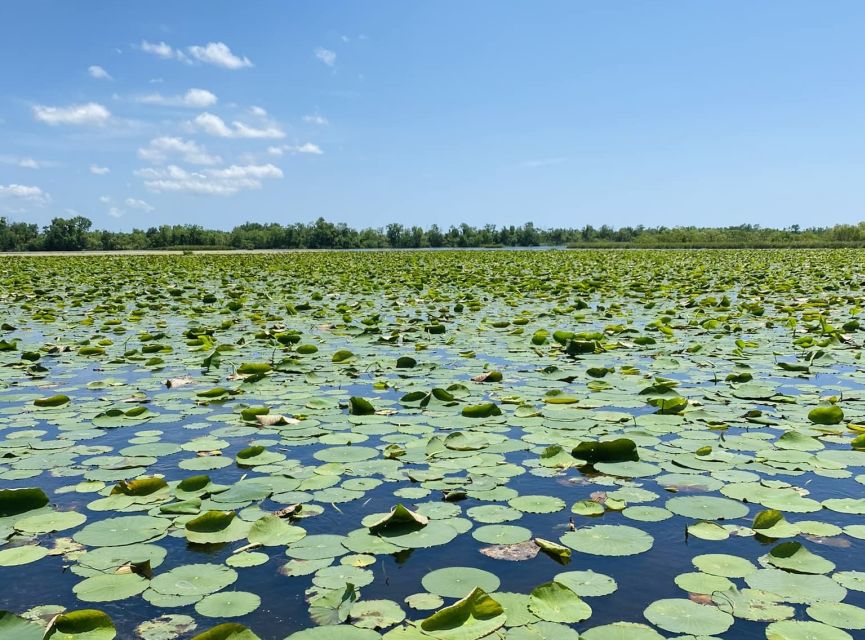 New Orleans: 16 Passenger Airboat Swamp Tour - Guide Time on the Water: The Real Difference Maker