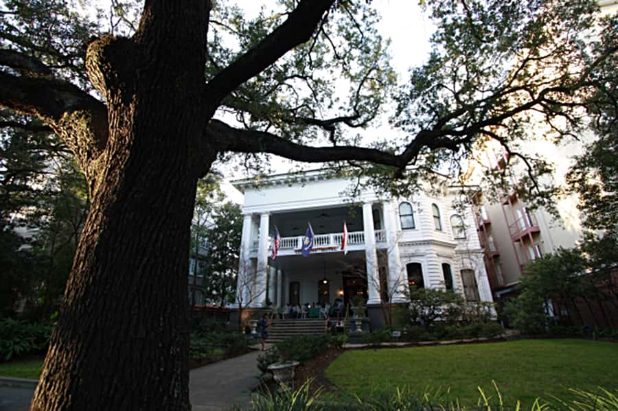 New Orleans: 2-Hour Homes of the Rich & Famous Walking Tour - Price and value: why $25 can feel like a bargain