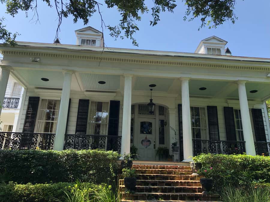 New Orleans: 2-Hour Homes of the Rich & Famous Walking Tour - Live oaks, scent, and the plant life behind the neighborhood name