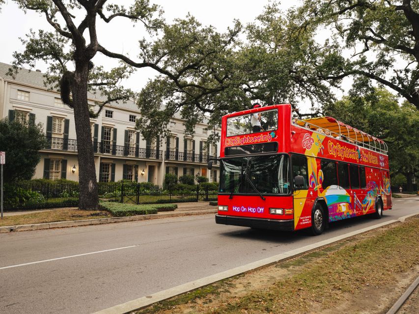 New Orleans: 2 or 3 Day Hop-On Hop-Off Bus with Walking Tour - Esplanade Avenue and Tremé: A City Mood Change You Can Ride Through
