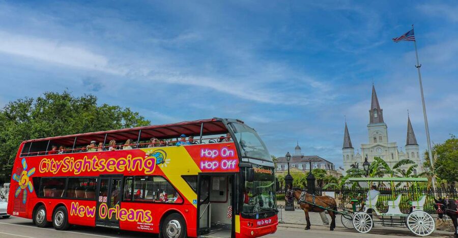New Orleans: 2 or 3 Day Hop-On Hop-Off Bus with Walking Tour - Basin Street to Canal Street: Where Convenience Beats Guesswork