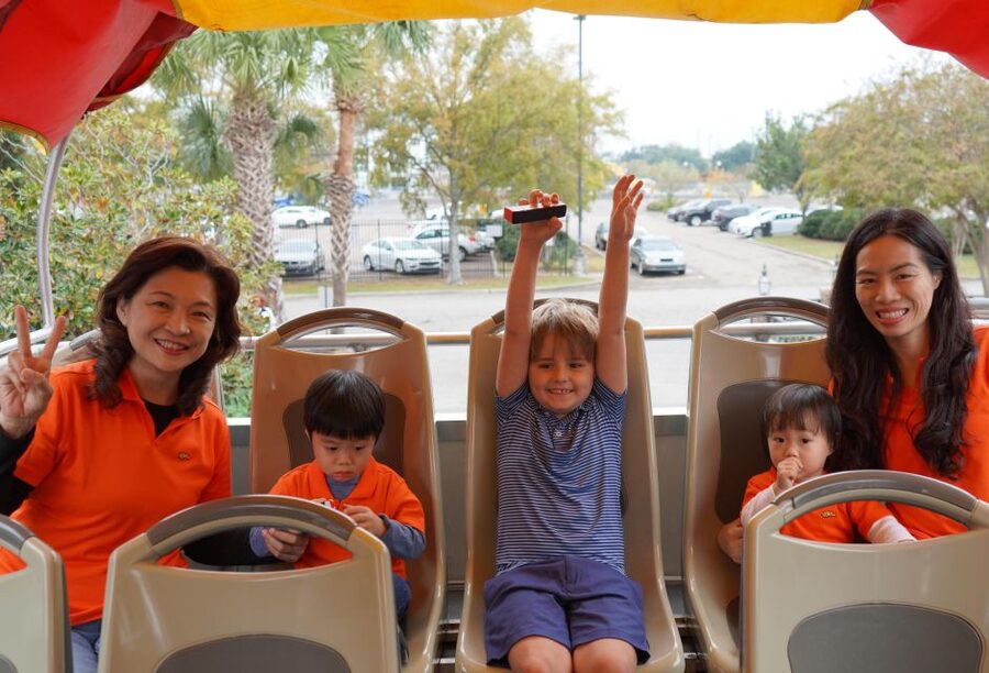 New Orleans: 2 or 3 Day Hop-On Hop-Off Bus with Walking Tour - Garden District Guided Walk: St. Charles Avenue’s Classic Streets