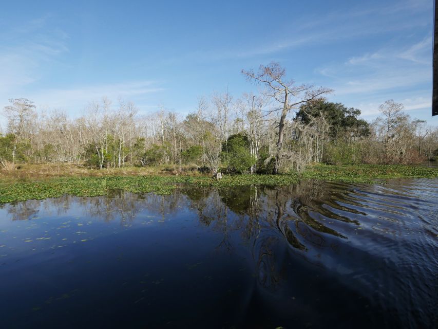 New Orleans: Airboat or Pontoon Boat Cruise with Transfers - Getting From Downtown to the Swamps With Hotel Pickup