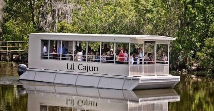 New Orleans: Airboat or Pontoon Boat Cruise with Transfers - Bayou Segnette: Watching Alligators From the Safety of Your Boat