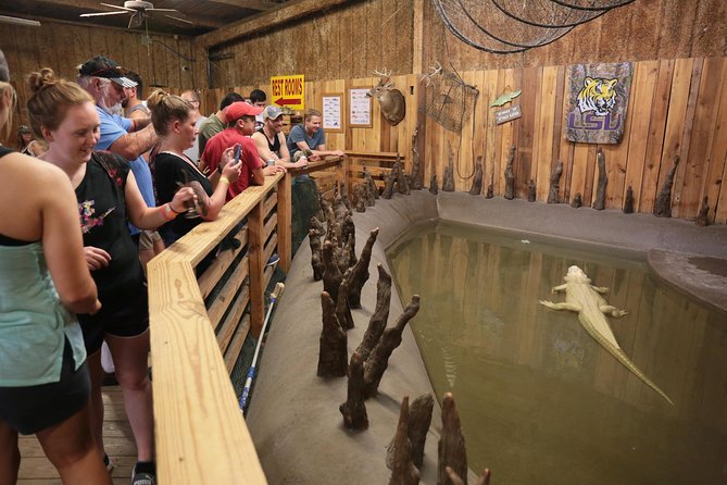 New Orleans Airboat Ride - On the water in Jean Lafitte country: what you’ll see and hear