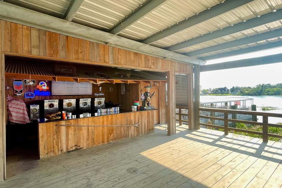 New Orleans: Airboat Swamp Adventure with Transportation - Wildlife Viewing in Sportsman’s Paradise: What You’ll Likely See