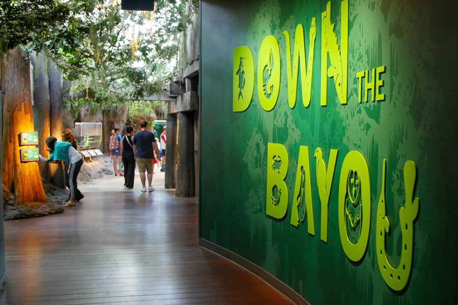 New Orleans: Audubon Aquarium & Insectarium Ticket - Crowd favorites: penguins and rare white alligators