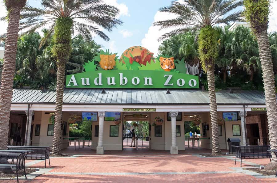 New Orleans: Audubon Zoo or Combo Ticket - Themed exhibits that make planning easy: Louisiana Swamp, Jaguar Jungle, Monkey Hill