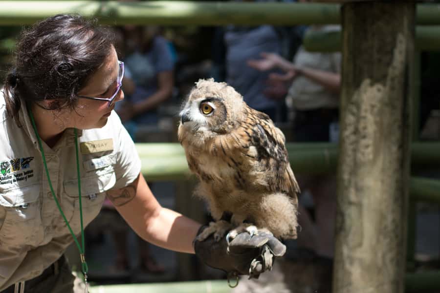 New Orleans: Audubon Zoo or Combo Ticket - How your ticket works: zoo-only vs zoo + aquarium vs the 3-attraction combo