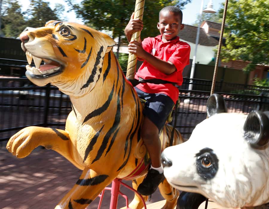 New Orleans: Audubon Zoo or Combo Ticket - Optional add-ons: when the Aquarium and Insectarium are worth your time