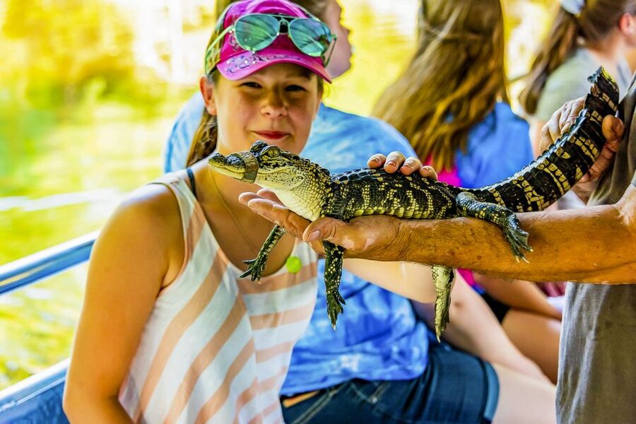 New Orleans: Bayou Swamp Tour and Oak Alley Plantation Tour - The ride out of New Orleans: why the drive itself matters