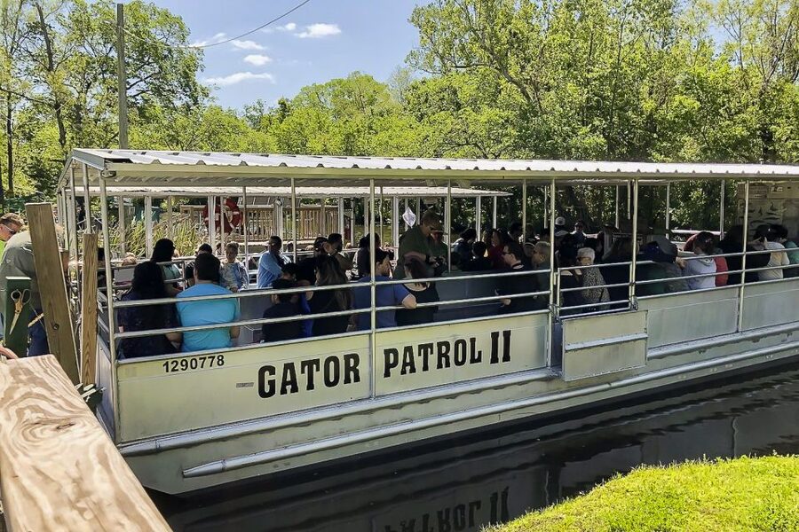 New Orleans: Bayou Swamp Tour and Oak Alley Plantation Tour - Logistics that can make or break your day: timing, food rules, and group vibes