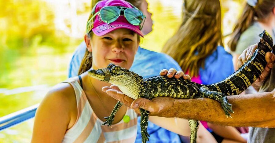 New Orleans: Bayou Swamp Tour and Oak Alley Plantation Tour - Cajun Pride Swamp Tour on Manchac Swamp: wildlife, boat comfort, and the alligator question