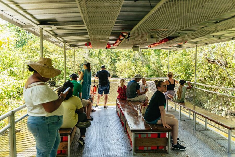 New Orleans: Bayou Tour in Jean Lafitte National Park - Entering The Jean Lafitte Barataria Preserve: The Real Bayou Setup