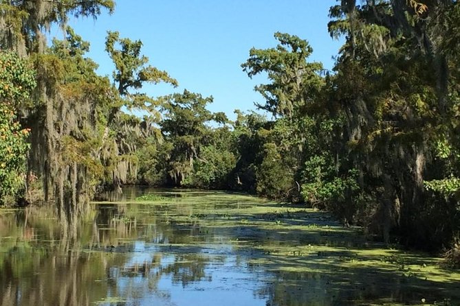 New Orleans City, Cemetery and Swamp Full-Day Tour - How the Full Day Actually Flows (and Where Time Can Feel Tight)