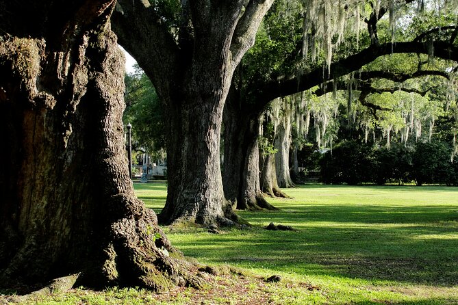 New Orleans: City Park Exploration Game and Tour - What Makes This Game a Good Fit (and What Doesn’t)