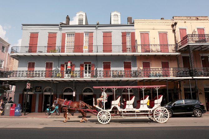 New Orleans City Sightseeing Hop-On Hop-Off Bus Tour - Timing, frequency, and how to plan your day