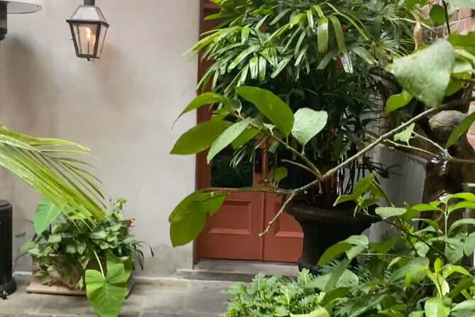 New Orleans Courtyard Cocktails: Happy Hour Mixology Class - Pimm’s Cup First: A Smooth Welcome Drink for Beginners and Sippers