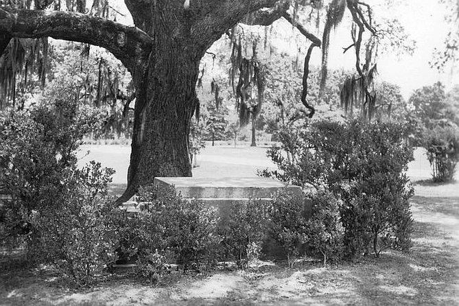 New Orleans Dead of Night Ghosts and Cemetery Bus Tour - St. Louis Cemetery No. 3: yellow fever origins and layered burial ground