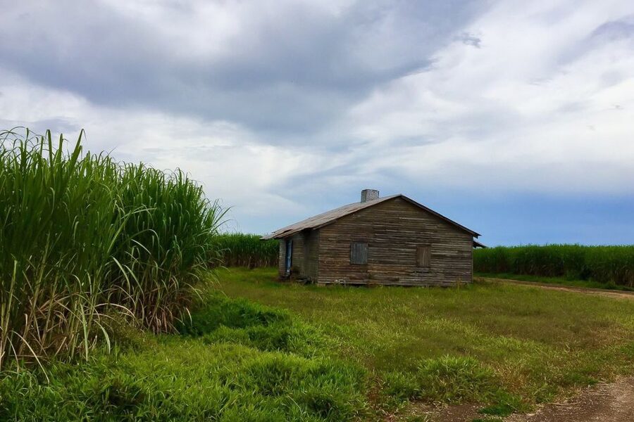 New Orleans: Destrehan Plantation & Airboat Combo Tour - Should you book this tour?