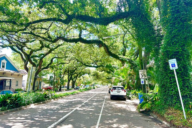 New Orleans Driving Tour with Bayou St. John, City Park, Treme - Stop 4: City Park’s oak trees, duels, and a beignet stop you control