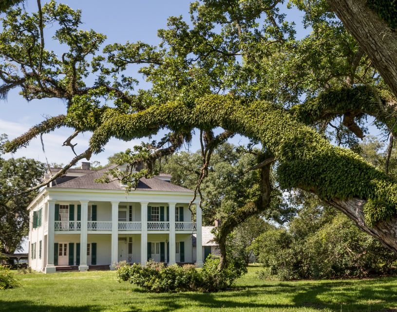 New Orleans: Felicity Plantation Guided Tour - The working sugarcane farm element: Why Felicity feels different