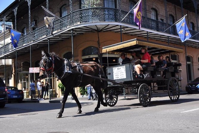 New Orleans French Quarter and More Carriage Ride - Marigny: why riding beyond the Quarter makes your trip feel fuller