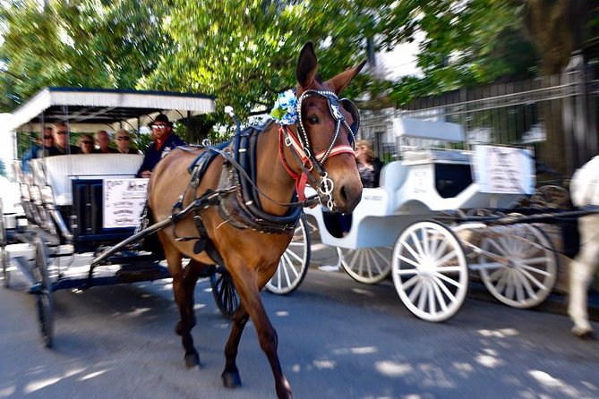 New Orleans French Quarter and More Carriage Ride - What you get beyond the sights: food, jazz, museums, and smart direction
