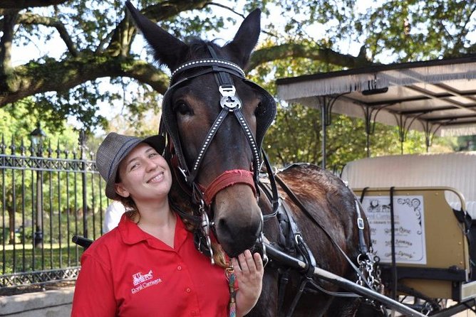 New Orleans French Quarter and More Carriage Ride - Price and value: is $65 worth a one-hour intro?