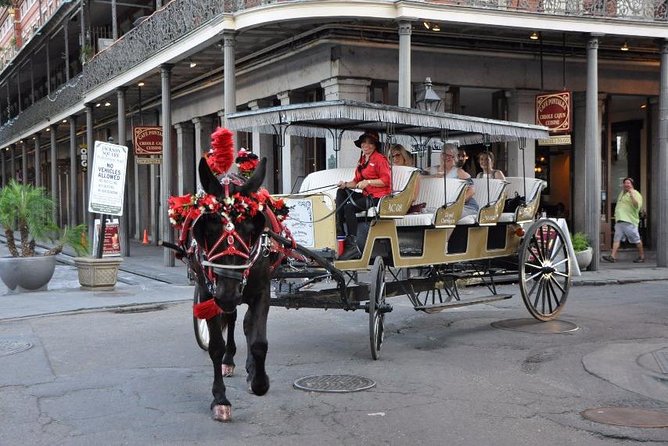 New Orleans French Quarter and More Carriage Ride - Weather and real-world expectations