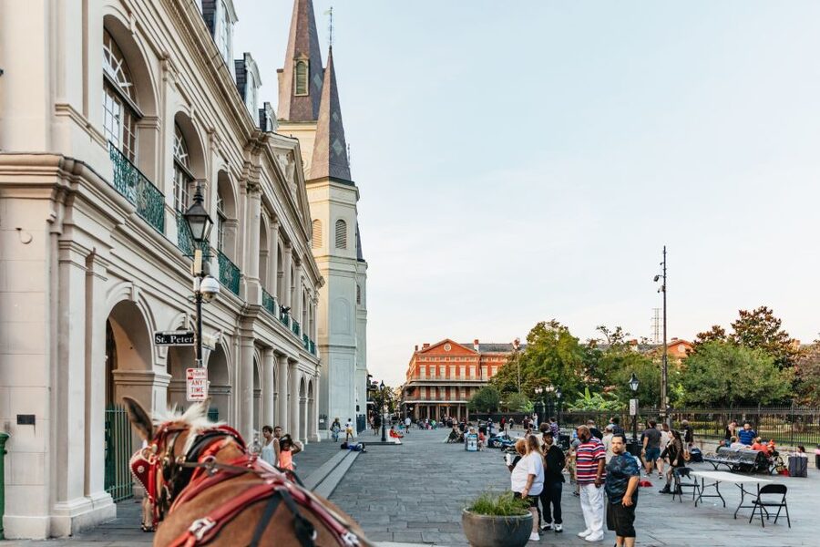 New Orleans: French Quarter Sightseeing Carriage Ride - A 1-Hour Mule Carriage That Lets You See Without Fighting Crowds