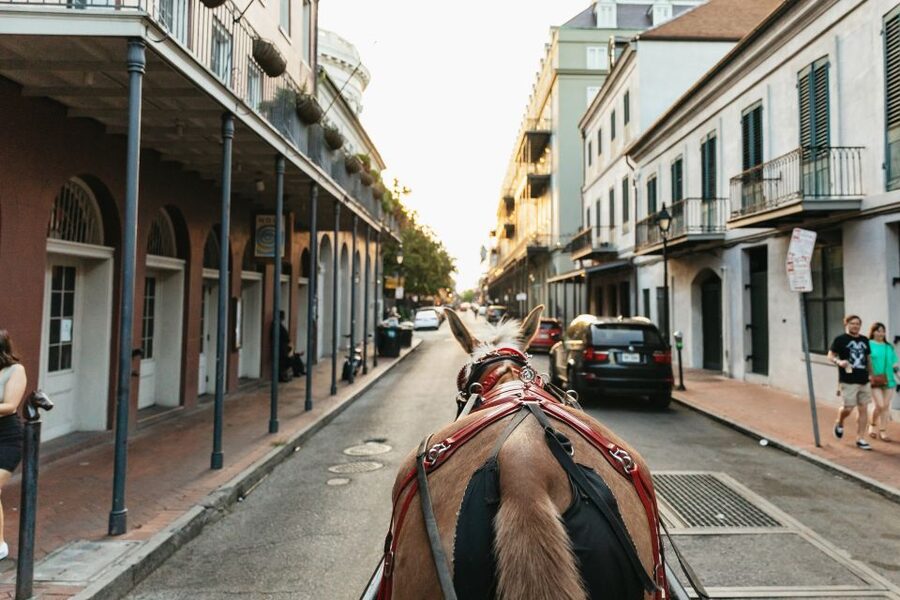 New Orleans: French Quarter Sightseeing Carriage Ride - Napoleon House and the French Market: Stories Between the Doors