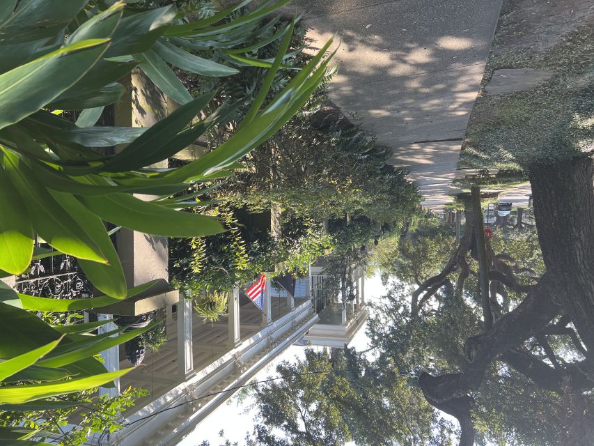 New Orleans : Garden District Architecture Walking tour - Practical Tips That Make the Walk Easier