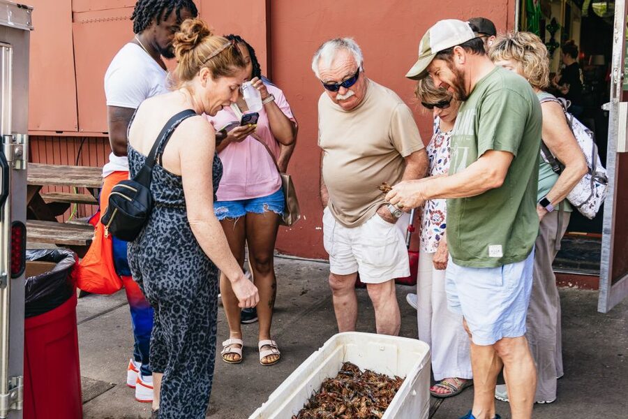 New Orleans: Garden District Food, Drinks & History Tour - Key points before you go