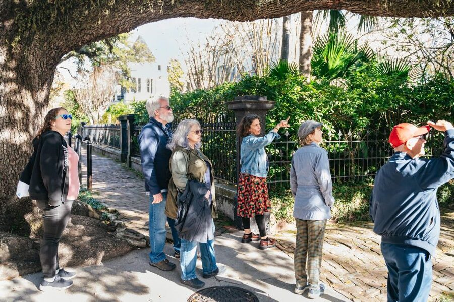 New Orleans: Garden District Guided Walking Tour - Price check: is $35 worth it for 2 hours?
