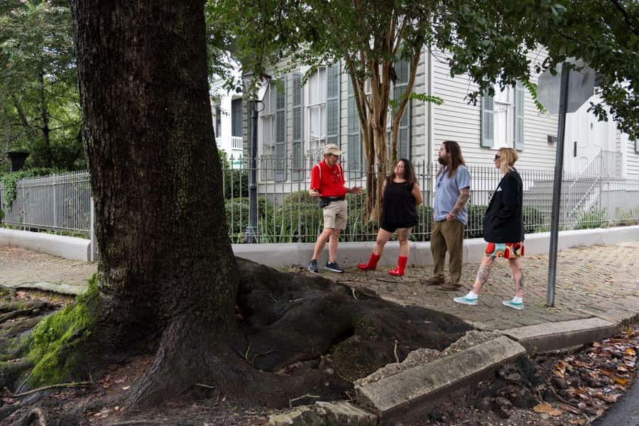 New Orleans: Garden District Tour - Who this Garden District tour fits best