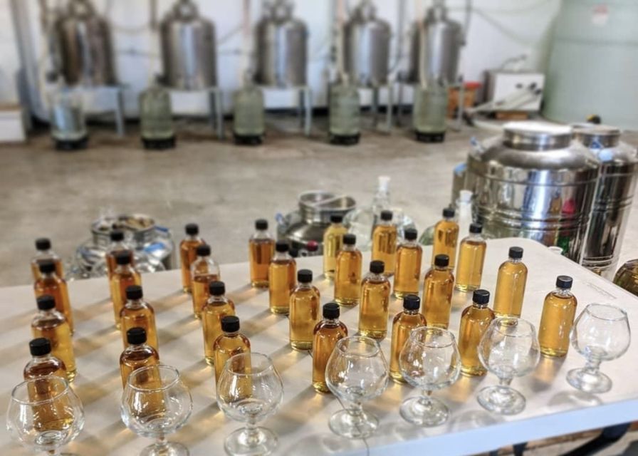 New Orleans: Guided Rum Distillery Tour and Tasting - What the sugar-cane history adds (and why it matters)