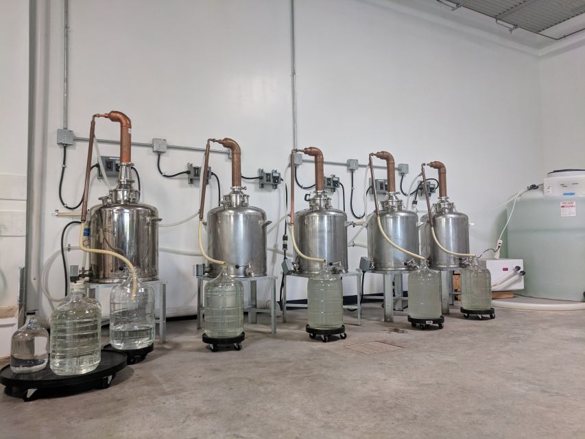 New Orleans: Guided Rum Distillery Tour and Tasting - Who should book this rum distillery tour (and who should skip it)