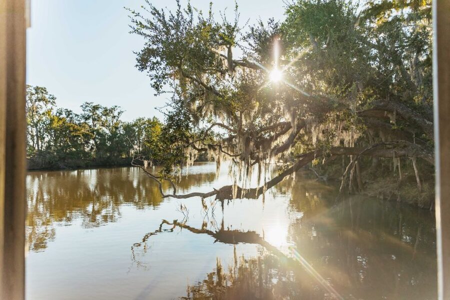 New Orleans: Guided Swamp Cruise by Tour Boat - On the boat for 100 minutes: what the ride is really like
