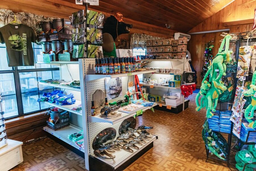 New Orleans: Guided Swamp Cruise by Tour Boat - Wildlife spotting: how to think about alligators, birds, and raccoons