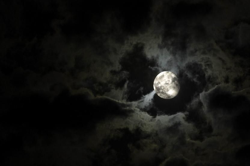 New Orleans Haunted Excursion Walking Tour - Price and value: is $23 for two hours a good deal?