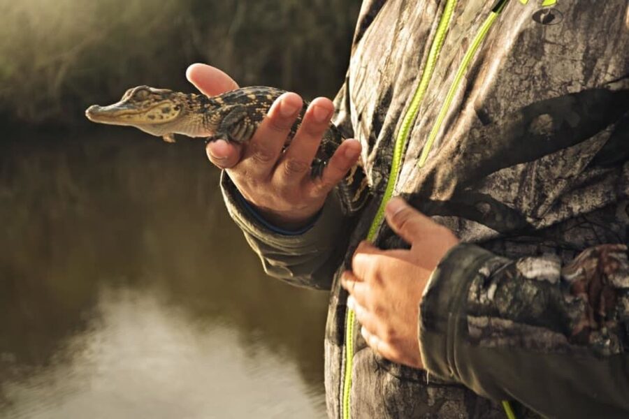 New Orleans: High Speed 16 Passenger Airboat Ride - Timing on the water: photo pauses and why they matter