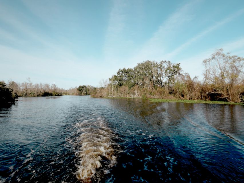 New Orleans: High Speed 16 Passenger Airboat Ride - Weather and clothing: open-boat rules that affect comfort