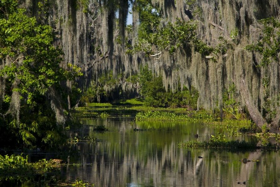 New Orleans: High Speed 16 Passenger Airboat Ride - Getting to the Swamp Dock: pickup timing and the 30-minute reality check