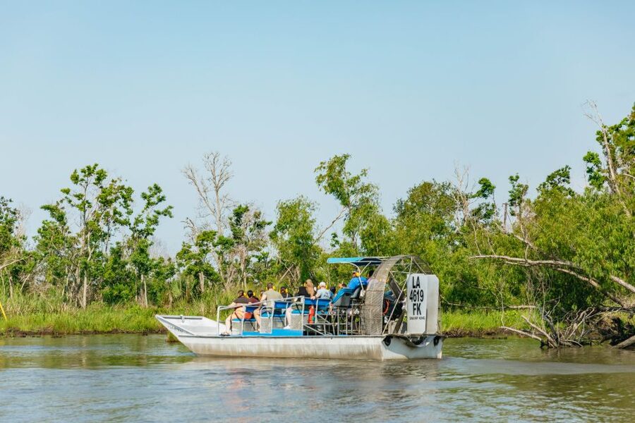 New Orleans: High Speed 9 Passenger Airboat Tour - Key things I’d watch for