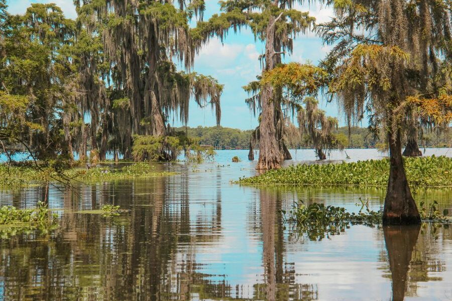 New Orleans: High Speed 9 Passenger Airboat Tour - Who should book, and who should skip